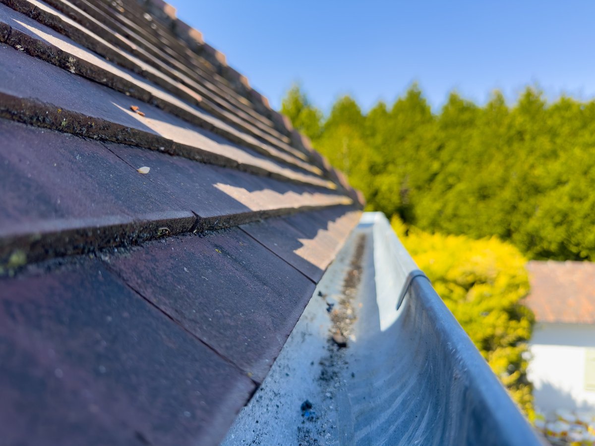 Professional cleaning services