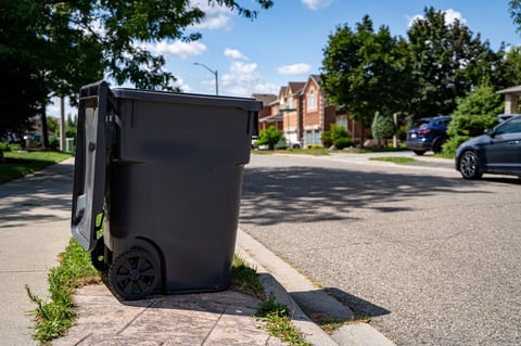 Clean wheelie bins on suburban street