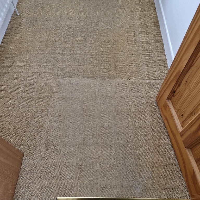 Hallway with beige carpet transitioning to wooden flooring, white wall trim visible on left side