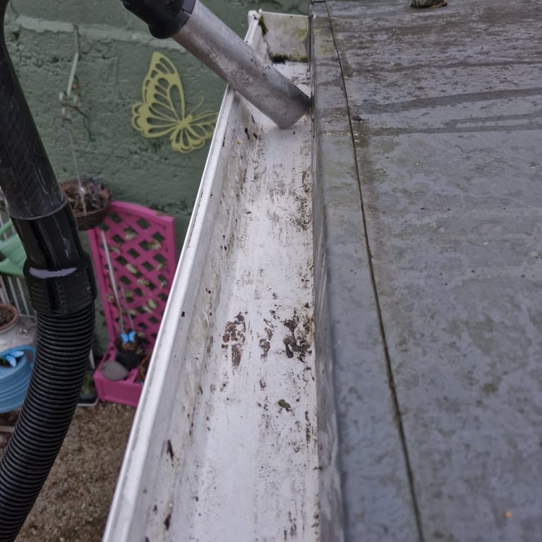 Close-up of a dirty white gutter with mold stains, downspout visible, pink crate below, yellow butterfly street art on green wall