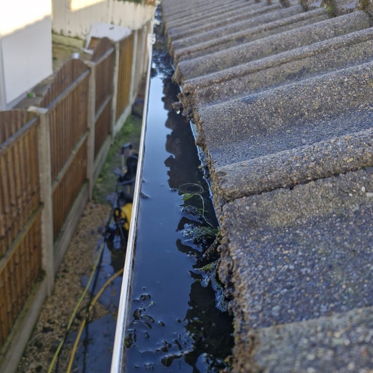 Narrow water channel or gutter between wooden fence and concrete steps, filled with dark water and algae