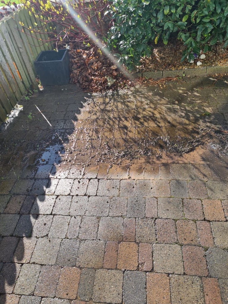 Paved backyard patio with shadows from climbing ivy and metal fence, showing worn brick pavers and vegetation along the edges