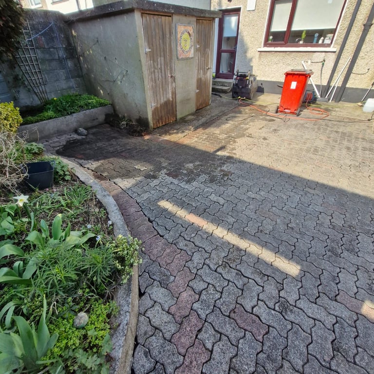 Residential backyard with brick paving, weathered shed, red utility box, and overgrown plants along the edge