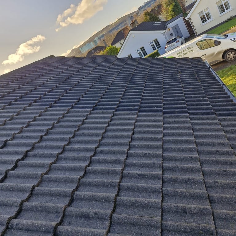 Close-up view of dark asphalt shingle roof with white house and vehicles visible in background
