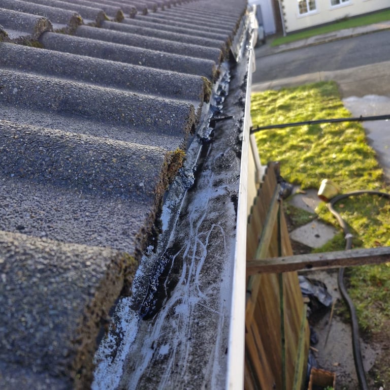 Roof gutter and guttering with moss and lichen buildup, showing debris and deterioration