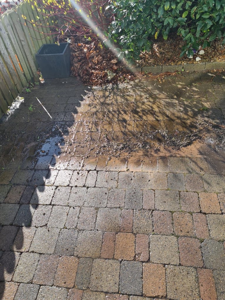 A patio with paver stones and tree shadows, with a metal trash bin and green fence visible in the background