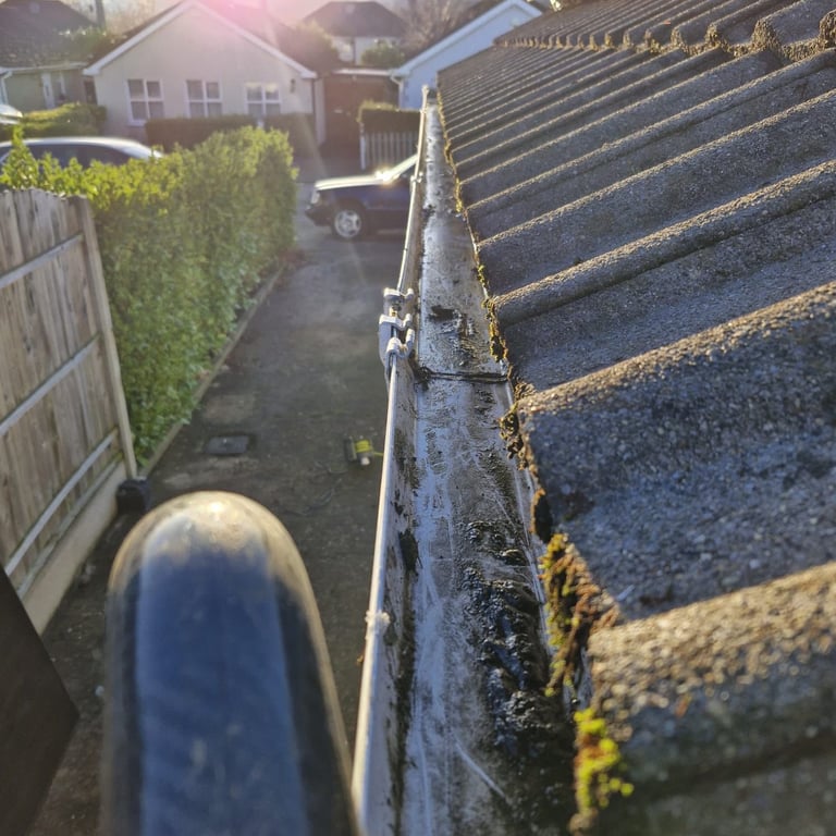 Close-up view of a rain gutter on a slate roof with moss growth, overlooking a residential backyard and houses