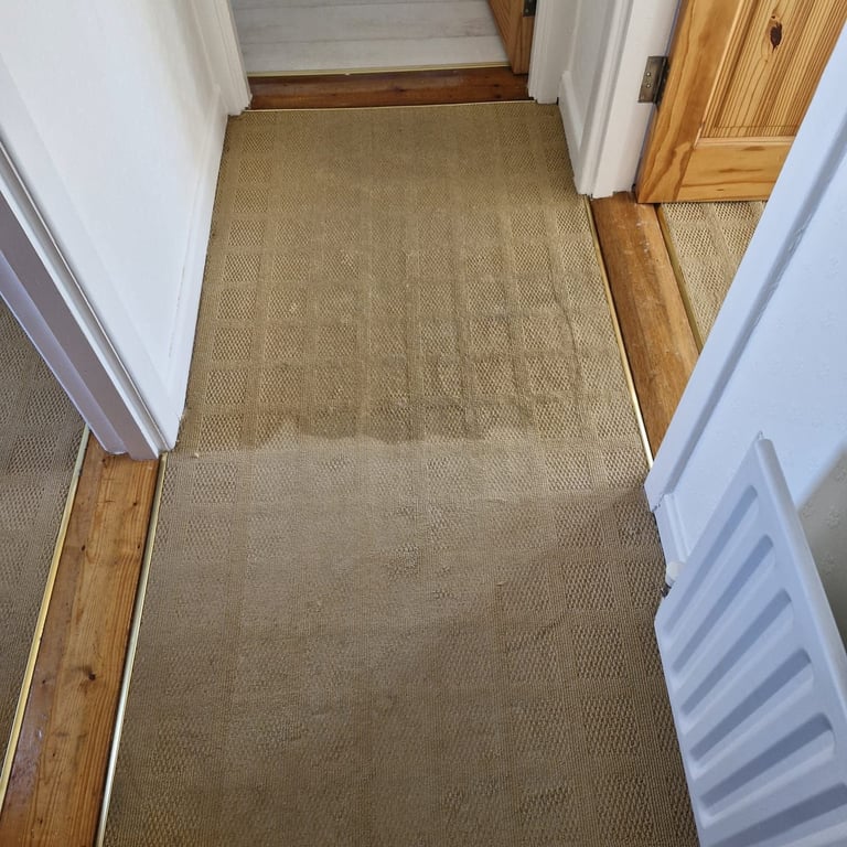 Hallway with tan carpet transitioning to wood flooring, white walls, and wooden door frame