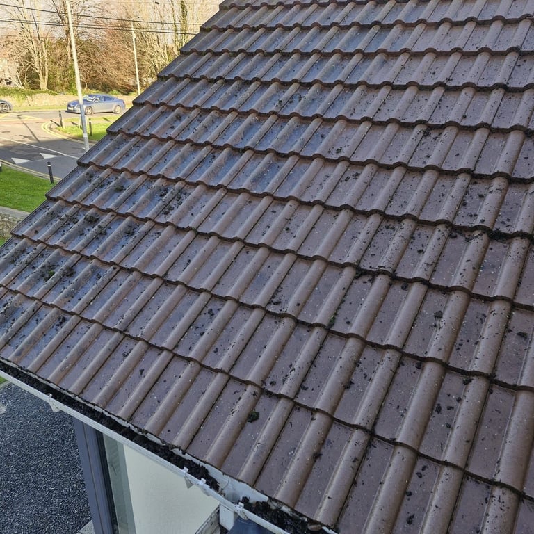 Close-up view of a dark gray tiled roof on a residential building with bare trees and yard visible in background