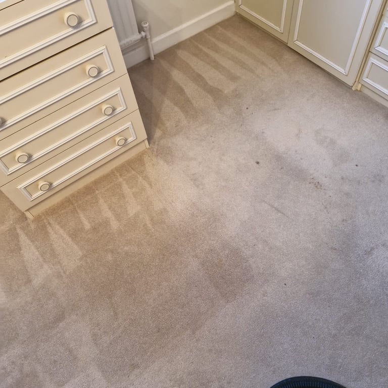 Bedroom carpet with visible stains and wear, white dresser and nightstand furniture visible along walls