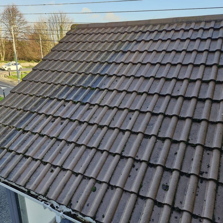 Close-up view of a dark gray tiled roof with overlapping barrel-style shingles and bare trees visible in background