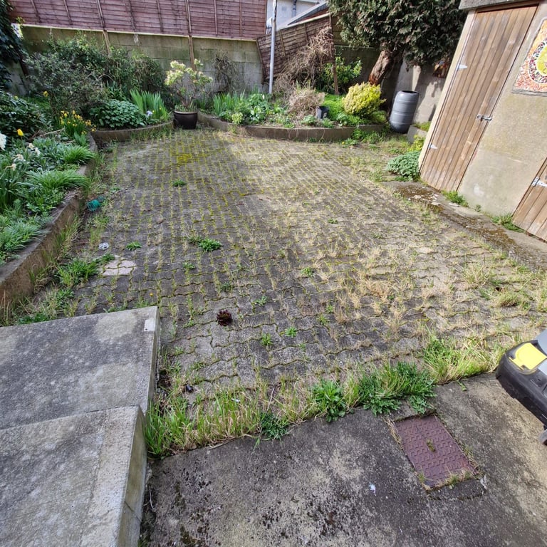 Overgrown residential backyard patio with moss-covered brick pavers, scattered vegetation, garden beds, and metal sheds against surrounding fences