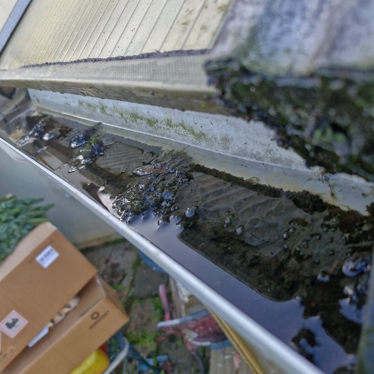 Clogged gutter filled with debris, moss, and leaves accumulating along the roof edge
