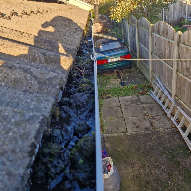 Narrow alleyway between brick wall and wooden fence with parked blue car, overgrown vegetation, and moss-covered gutter in sunlight