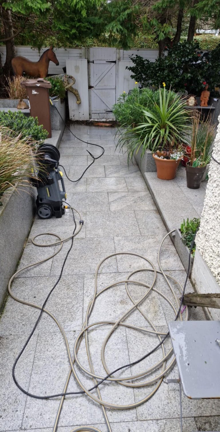 Garden pathway with coiled garden hoses, potted plants, wooden gate, and decorative horse statue among landscaping